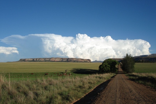 Summer storms brewing over Roodepoort Farm, Clarens